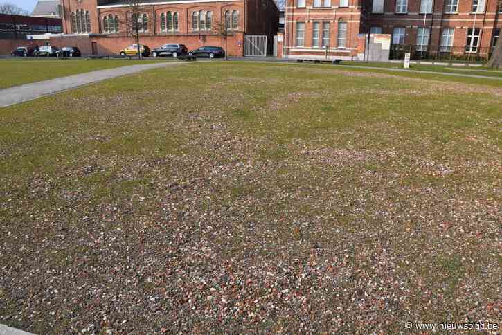 Grindgazon zorgt voor stabiliteit aan de Warande