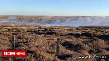 Firefighters tackle 20 wildfires in one weekend