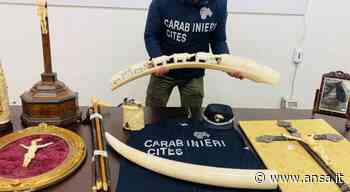 Maxisequestro Cc durante 'Mercanteinfiera' Parma, 11 denunce - Agenzia ANSA