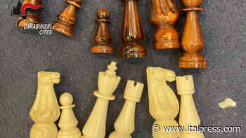 Parma, maxi sequestro di 172 oggetti in avorio Agenzia di stampa Italpress - Italpress