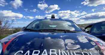 Cadavere di donna fatto a pezzi trovato nel Bresciano - Gazzetta di Parma