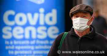 Coronavirus infection rates, cases and deaths for all parts of Wales on Monday, March 21 - Wales Online