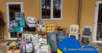 Tierheim Bamberg entscheidet sich wegen Ukraine-Krieg für radikalen Schritt - "brauchen es wirklich dringender"