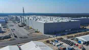 Tesla will in Grünheide starten - Kritik von Umweltschützern