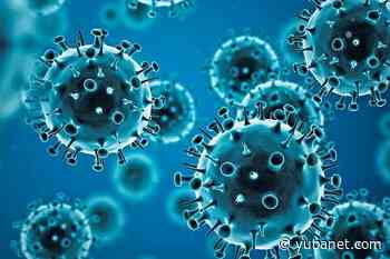 Coronavirus may double severe complications in pregnancy - YubaNet