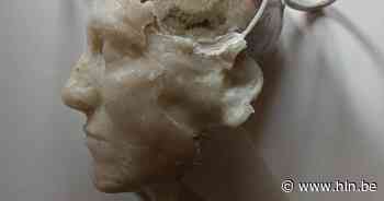 Expo in Casino behandelt thema 'vergankelijkheid' | Beringen | hln.be - Het Laatste Nieuws