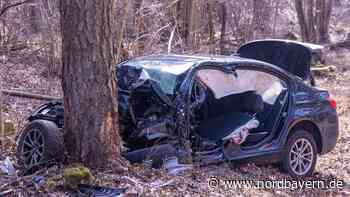 Bei Bamberg: BMW-Fahrer fährt gegen Baum und verletzt sich lebensbedrohlich - Nordbayern.de