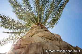 notizie da Lecco e provincia » Cambia - ResegoneOnline