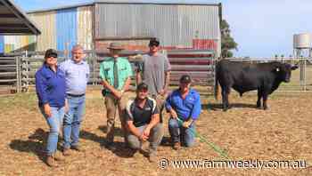 Kuss family's Allegria Park Angus sale at Esperance tops $14,000 - Farm Weekly