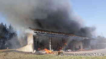 Maschinenhalle bei Reischach wird Raub der Flammen – Kriminalpolizei ermittelt