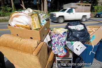 Delta bringing back popular clean-up event - Delta Optimist