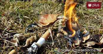 Erhöhte Brandgefahr durch Trockenheit im Kreis Ravensburg - Schwäbische