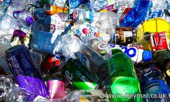 Enzymes that EAT polyester in drinks bottles and clothing could help reduce plastic waste