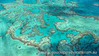 Reef mission arrives amid access concerns - Gloucester Advocate