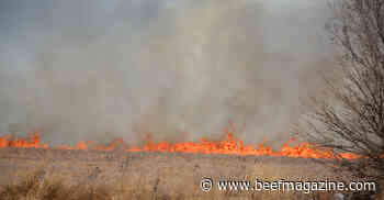 Livestock supplies, donations needed for Texas wildfire victims