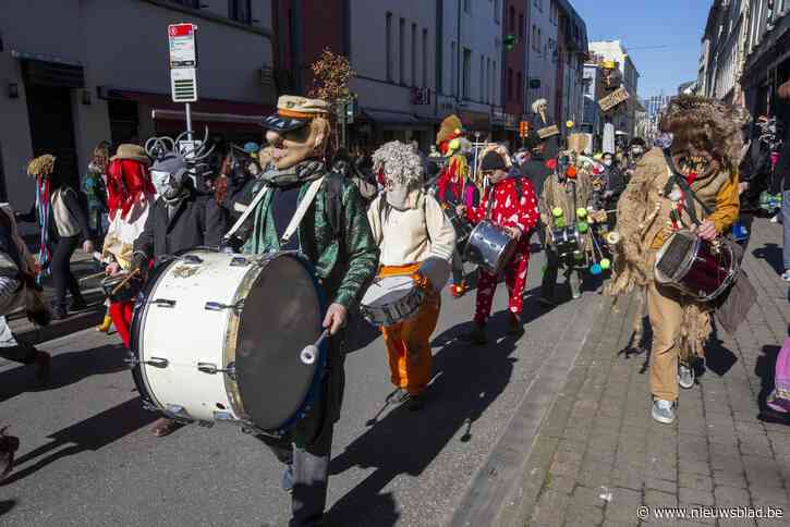 Brusselse politie mikpunt van kritiek na Carnaval Sauvage