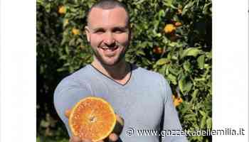 Lettere a Tito n. 392- Marco Viscomi e le sue arance naturali ed etiche di Calabria affinché mai più un agrumeto resti abbandonato. In evidenza - Gazzetta dell'Emilia & Dintorni