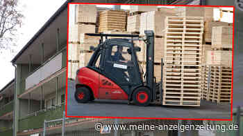 Hartz und herzlich: Große Chance für Dieter – wird er endlich Staplerfahrer?