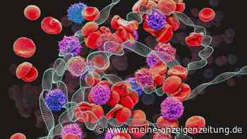 Krebs heilen? Patienten durch „lebendiges“ Medikament krebsfrei