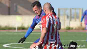 Risultati Finali Eccellenza/A, 23^giornata: Barletta, meta vicinissima. Vigor Trani: retrocessione matematica - TuttoCalcioPuglia.com