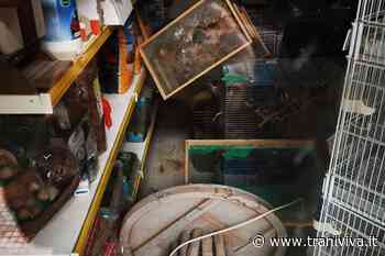 Ennesimo furto a Pozzopiano: nel mirino ancora un'attività di vendita di prodotti per animali - TraniViva