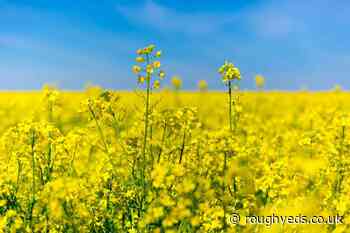 Toy and clothing donations for Ukrainian children - Oldham RLFC