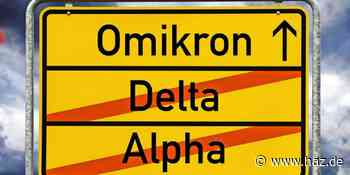 Corona in Hemmingen: Mehr Todesfälle und höchste Inzidenz seit Pandemieausbruch - HAZ