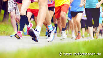 Dresden organisiert Spendenlauf für die Ukraine - Radio Dresden