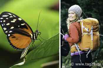 Sieben frühlingshafte Tipps für Euren Sonntag in Dresden und Umgebung - TAG24