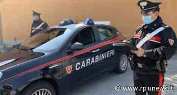 Controllo straordinario del territorio Cc Alba Adriatica. Quattro denunce - R+News