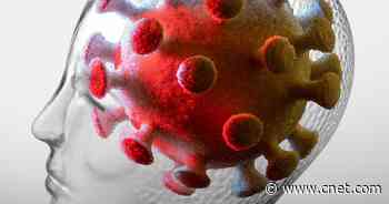 Long COVID: Majority of Patients Suffer From 2 Main Symptoms     - CNET