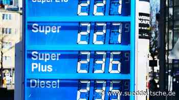 Mitten in Dachau: Was Autos und Bruno der Bär gemeinsam haben - Süddeutsche Zeitung - SZ.de