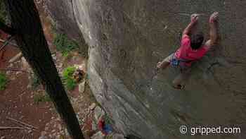 Looking for a 5.14a Sport Climb in Squamish? Try This One - Gripped Magazine