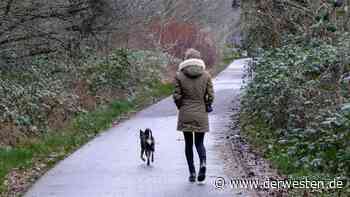 Hund in Essen hat gefährliche Macke – wird DAS zum Verhängnis? - DER WESTEN