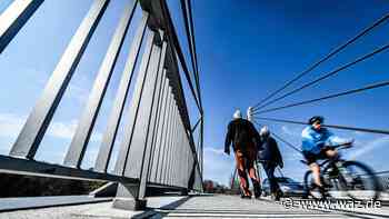Radwegebau: Stadt Essen muss erst Kleingarten räumen lassen - WAZ News