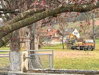 Kandern - Die meisten Bürger wollen ans Netz - www.verlagshaus-jaumann.de