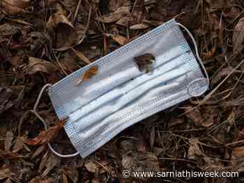 Stratford city employees to continue wearing masks indoors - Sarnia and Lambton County This Week