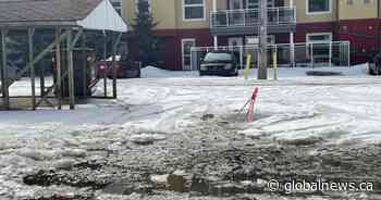 Potholes, alley ruts, flooding: Navigating spring driving hazards in Edmonton - Global News