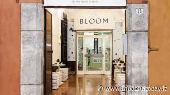 Gelateria Bloom di Modena tra le più buone d'Italia, confermati i Tre Coni per la sesta volta consecutiva - ModenaToday