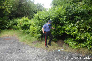 Omicidio su collina di Torino, imputato 'io stra-innocente' - Agenzia ANSA