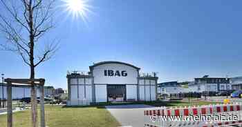 Warum sich der Bau eines Spielplatzes im Böbig verzögert - Neustadt - Rheinpfalz.de