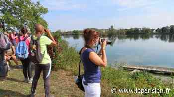 Vigneux-sur-Seine : le lac Montalbot, un futur «joyau de la biodiversité» à 2,5 millions d’euros - Le Parisien
