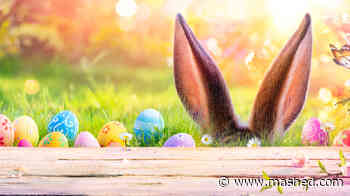 What Makes This Rhode Island Easter Egg Hunt So Challenging - Mashed