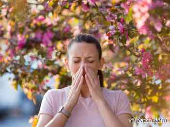 RI Spring Allergy Sufferers Get Good News From AccuWeather - Patch