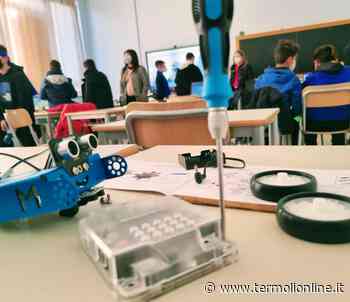 Brigida in finale al torneo virtuale "Italian coding league 2022" - Termoli Online