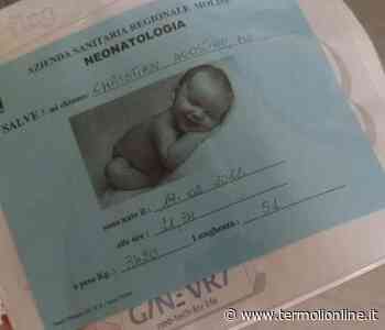 «Ho partorito a Termoli, casa mia: grazie a tutto il Punto nascita» - Termoli Online