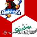 Video | Iserlohn Roosters - Bietigheim Steelers 3:4 | 54. Spieltag | Deutsche Eishockey-Liga 2021/22 - kicker