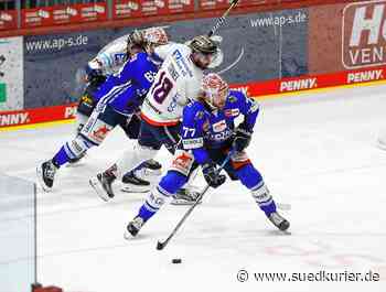 Wild Wings holen gegen Iserlohn wichtige Punkte | SÜDKURIER Online - SÜDKURIER Online