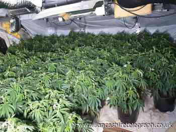 Haslingden cannabis factory raided and dismantled