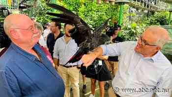 PM announces $60m cash boost to help lure international visitors back to Australia